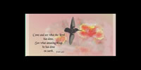 Checkbook Cover #CBC-0111